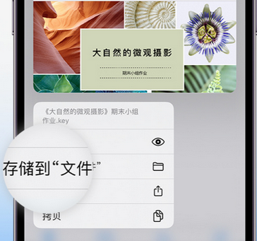 犍为apple维修中心分享iPhone文件应用中存储和找到下载文件