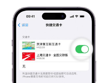 犍为apple维修点分享iPhone上更换Apple Pay快捷交通卡手绘卡面 