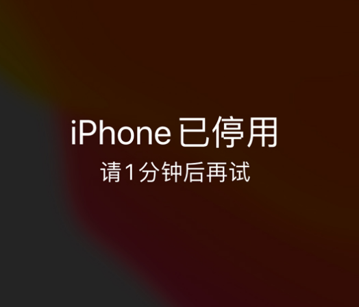 犍为苹果手机维修分享:iPhone 显示“不可用”或“已停用”怎么办？还能保留数据吗？ 