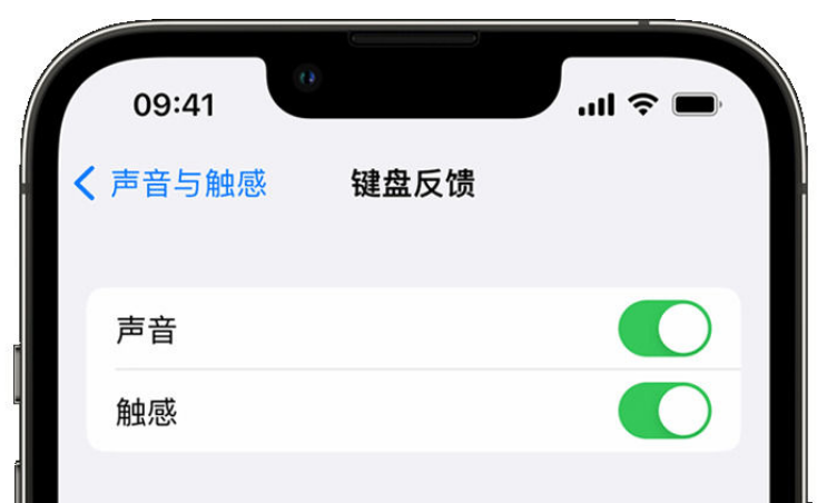 犍为苹果手机维修分享iPhone 14触感键盘使用方法 