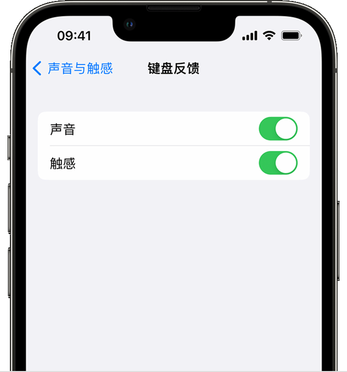 犍为苹果14维修店分享如何在 iPhone 14 机型中使用触感键盘 