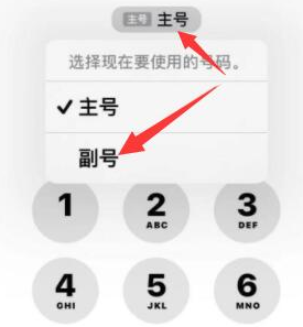 犍为苹果14维修店分享iPhone 14 Pro Max使用副卡打电话的方法 