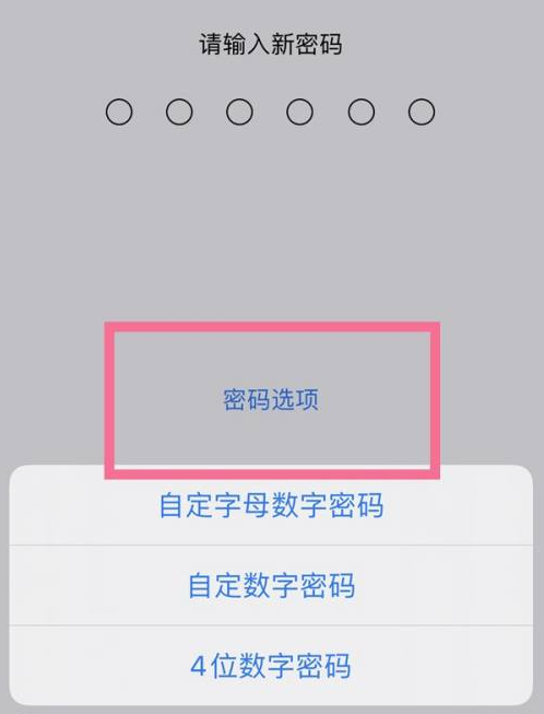 犍为苹果14维修分享iPhone 14plus设置密码的方法 