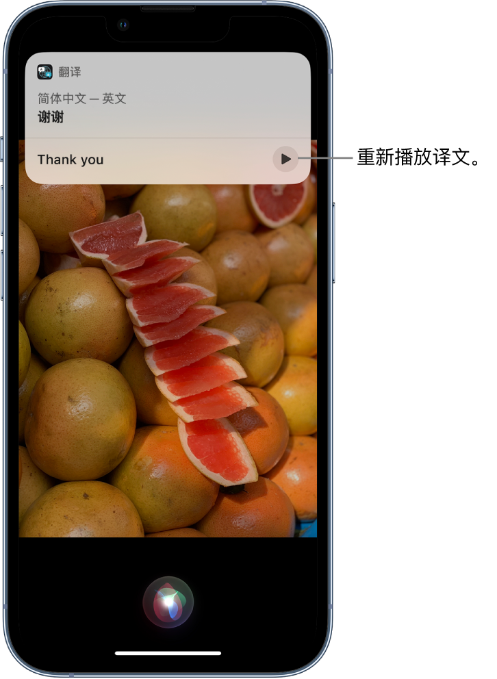 犍为苹果14维修分享 iPhone 14 机型中使用 Siri：了解 Siri 能帮你做什么 