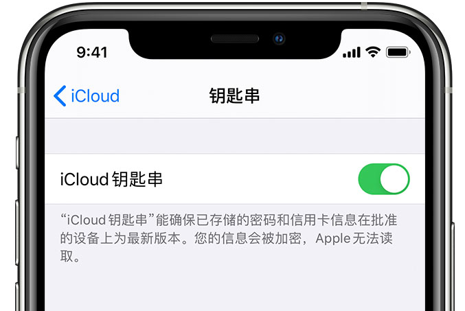 犍为苹果手机维修分享在 iPhone 上开启 iCloud 钥匙串之后会储存哪些信息 