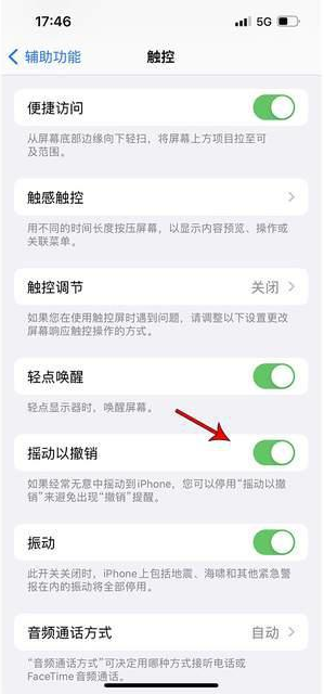 犍为苹果手机维修分享iPhone手机如何设置摇一摇删除文字 